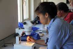 Archaeobotany Field Course 2015
