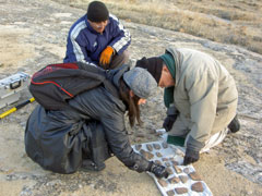 考古学的一般調査(2011年) (5)