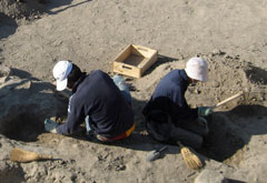 25th Excavation and Survey in Kaman-Kalehöyük 2010 (2)