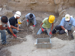 The Excavation 