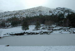 雪景色2012年冬 (1)