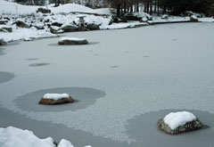 雪景色2012年冬 (2)