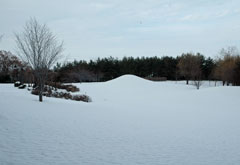 雪景色2012年冬 (3)