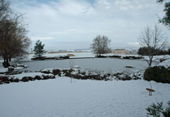 雪景色2012年冬 (4)