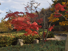三笠宮庭園の紅葉 (4)