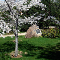 Spring 2009 Prince Mikasa Memorial Garden (2)